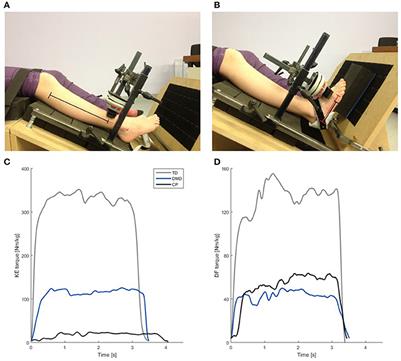 Non-neural Muscle Weakness Has Limited Influence on Complexity of Motor Control during Gait